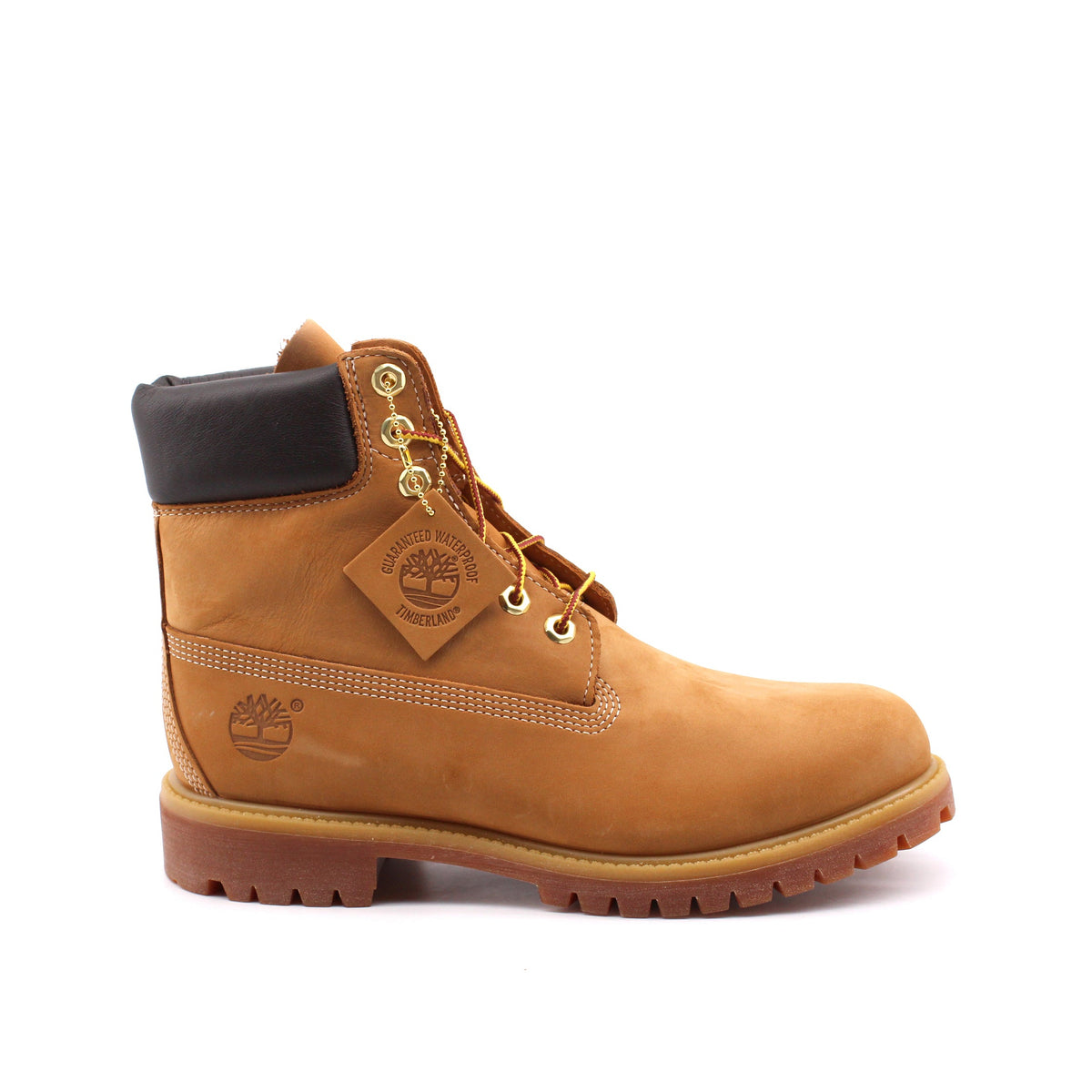 Premium anfibio waterproof da uomo