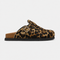 Leopardo Marrone